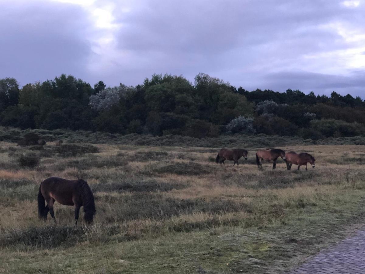 Familiehuis Achter De Duijnhoeve Bakkum Exterior foto