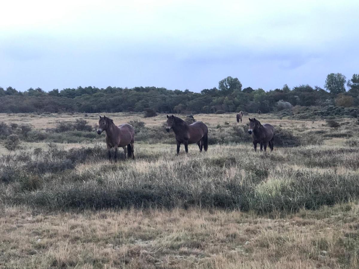 Familiehuis Achter De Duijnhoeve Bakkum Exterior foto